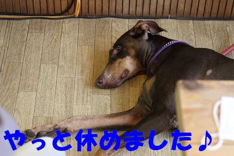 e0100007_11115230.jpg