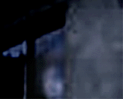 e0103408_18242748.gif