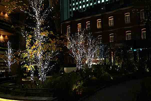 e0157816_915733.jpg
