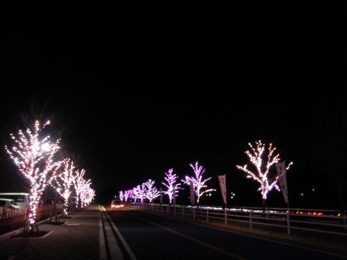 e0177829_011027.jpg