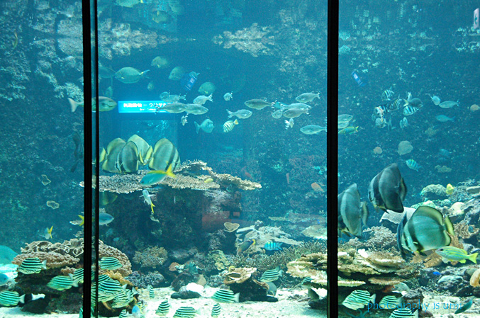 e0083238_2247844.jpg
