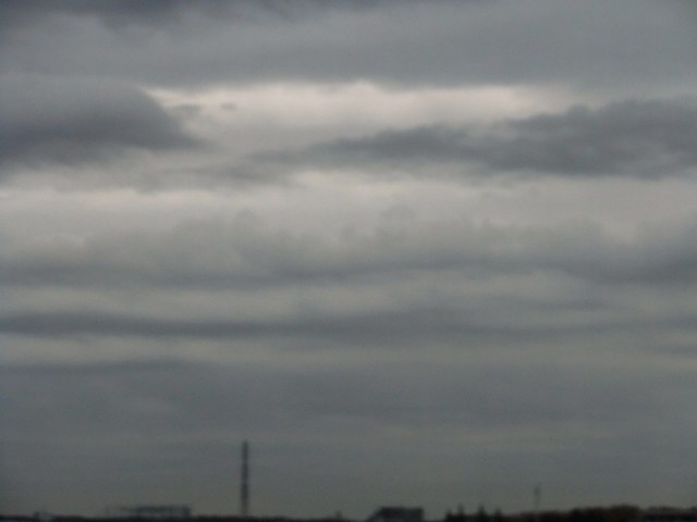 e0206242_11283637.jpg