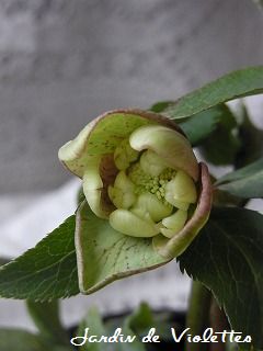 e0118257_17385219.jpg