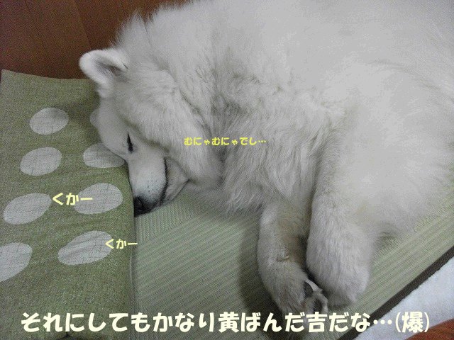 e0176159_9191912.jpg
