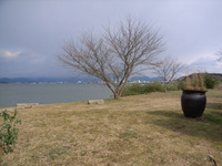 d0087761_20475898.jpg