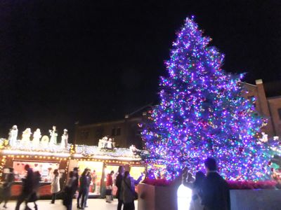 f0045872_23362786.jpg