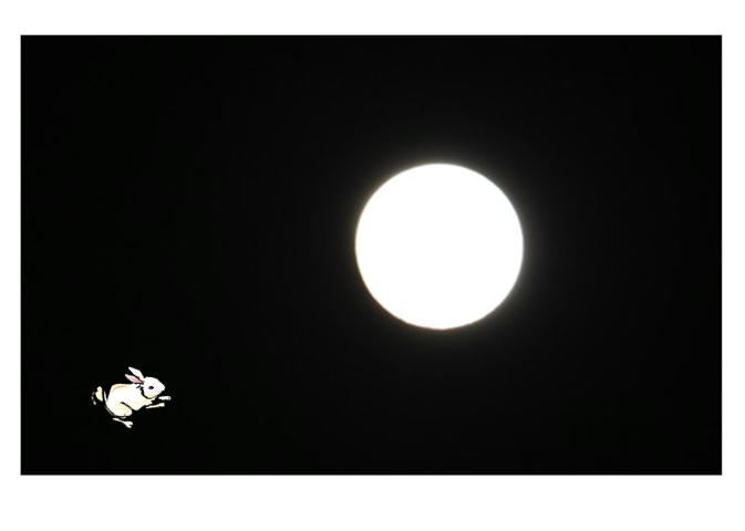 f0003174_9121082.jpg