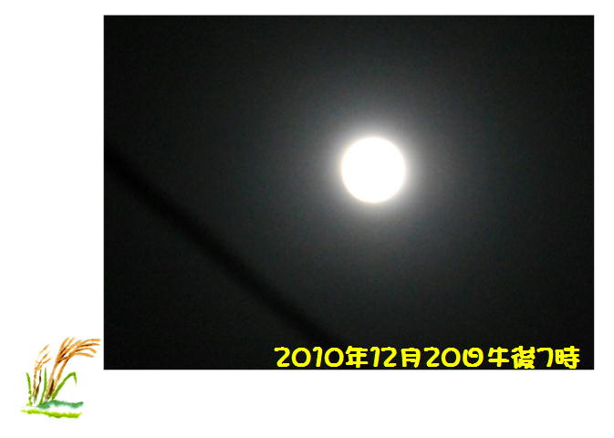 f0003174_9122251.jpg
