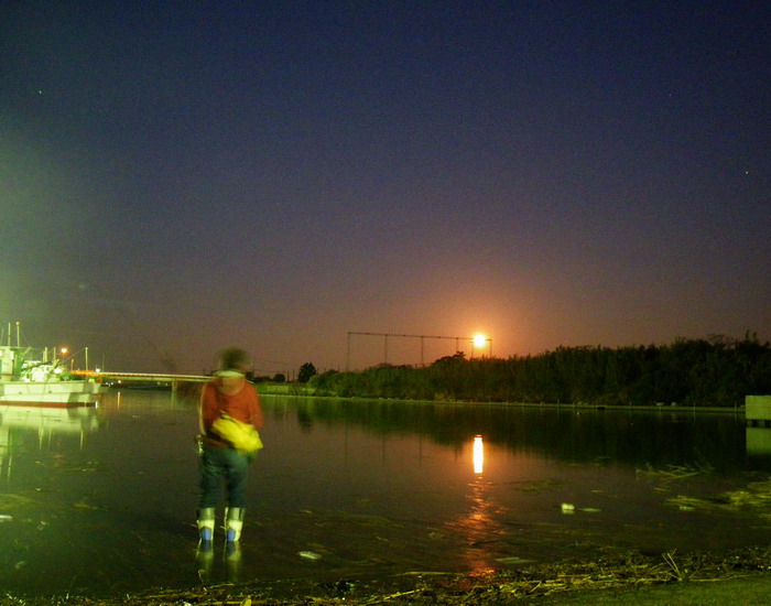c0197578_162376.jpg