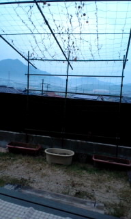 c0228378_7375190.jpg