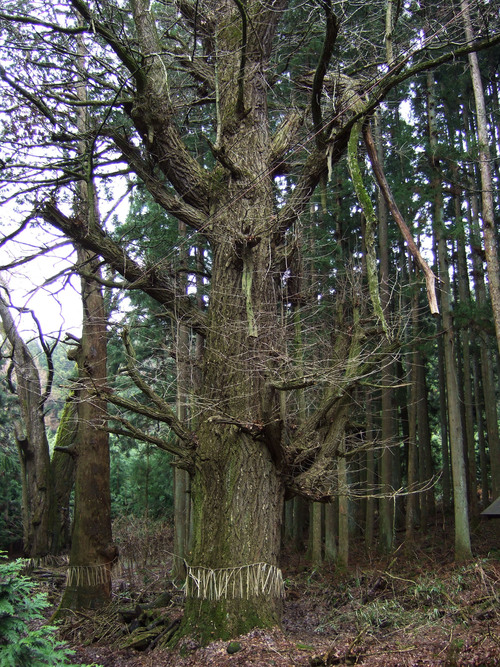 c0195281_6811100.jpg