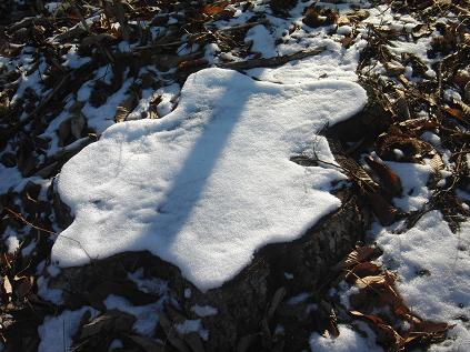 f0045283_13172185.jpg