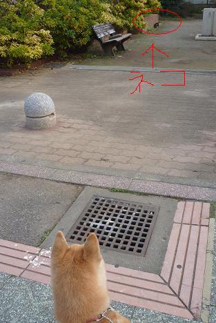 c0123890_19575290.jpg