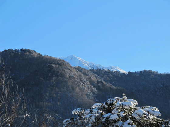 c0171790_0323310.gif