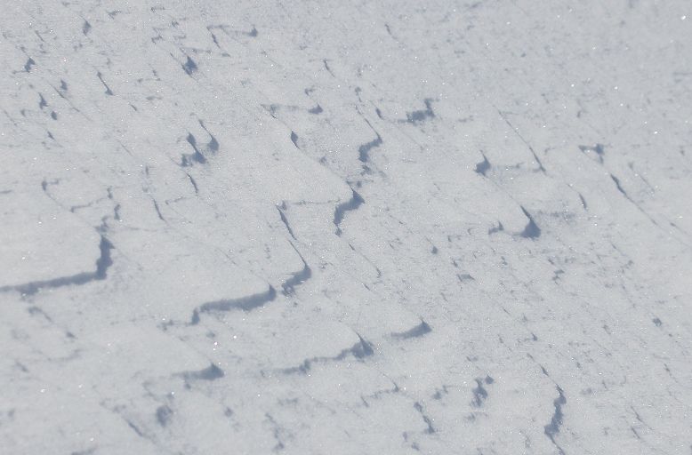 c0155902_19365677.jpg