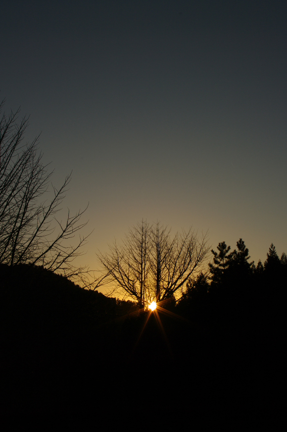f0221510_2301315.jpg