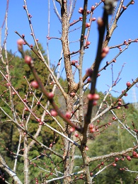 e0156222_0113074.jpg