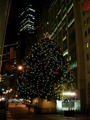 f0200433_2353287.jpg