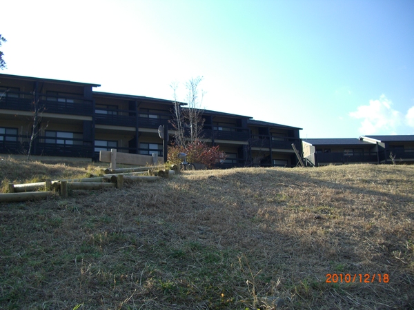 a0171936_21444134.jpg