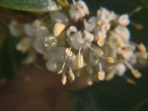b0012636_22171622.jpg