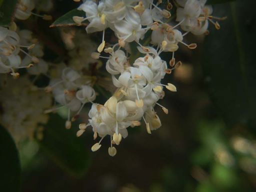 b0012636_22173460.jpg