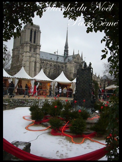 f0031138_233294.jpg