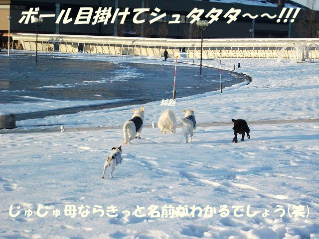 e0176159_10531076.jpg