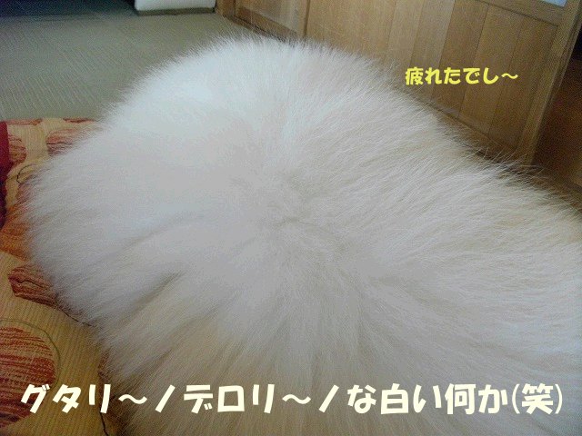 e0176159_10532038.jpg