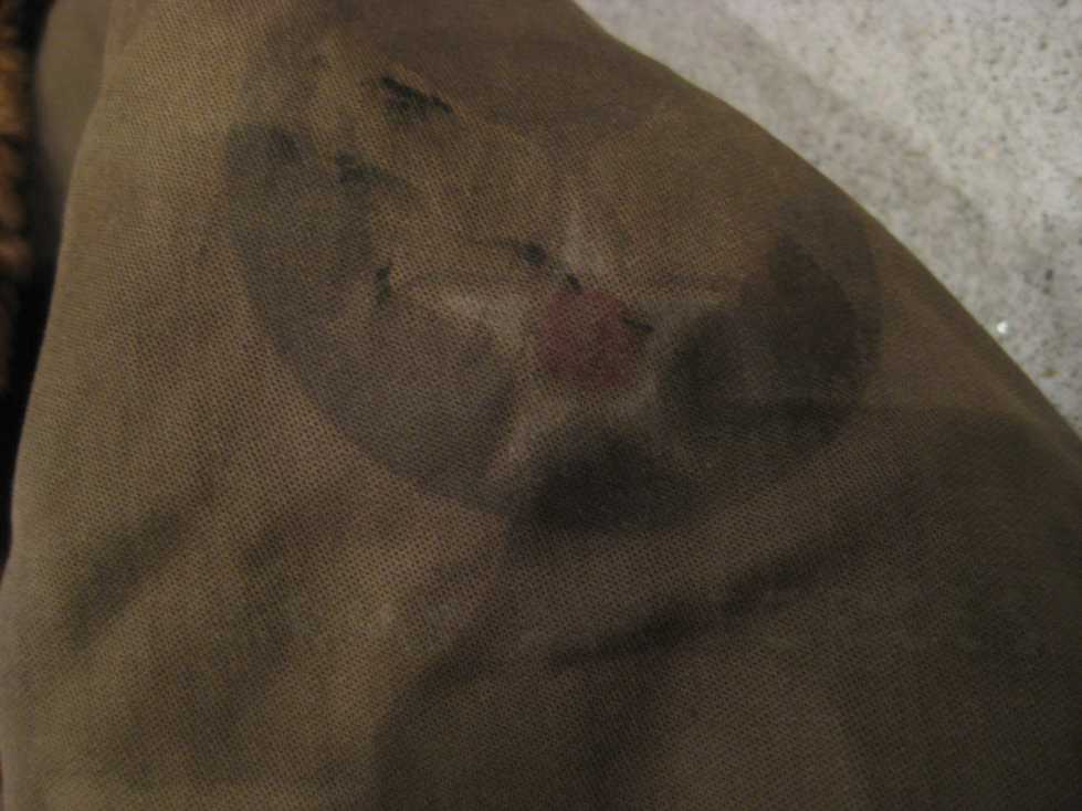 e0187362_11353739.jpg