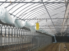f0055264_1740810.jpg