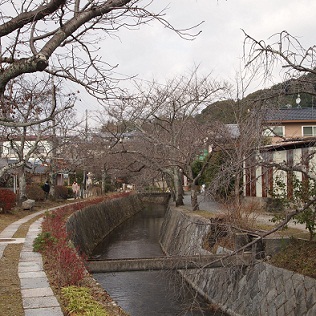 a0141366_23123285.jpg