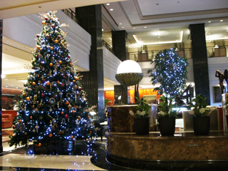 b0135267_957523.jpg