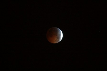 a0100975_1221666.jpg