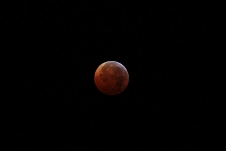 a0100975_12433625.jpg