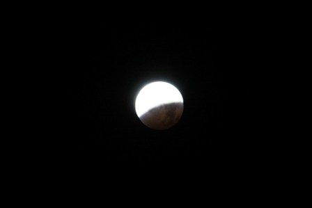 a0100975_12561986.jpg
