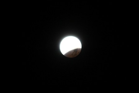 a0100975_12565953.jpg