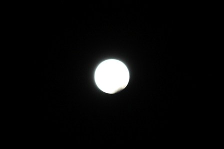 a0100975_12575638.jpg