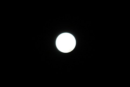 a0100975_1303866.jpg