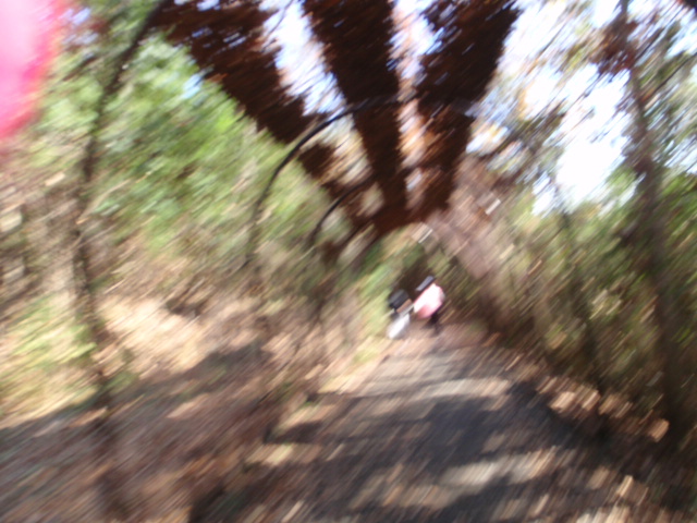 d0034291_11451723.jpg