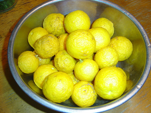 d0212491_23551119.jpg