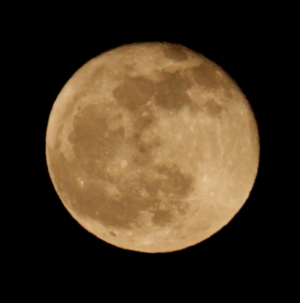 d0133693_20542850.jpg