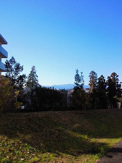 b0160300_22452442.jpg