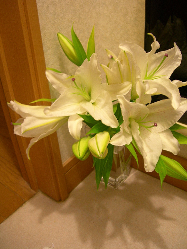 c0220700_17535674.jpg