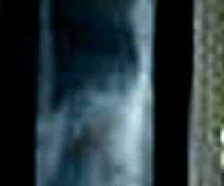 e0103408_181324.gif