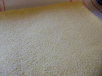 e0093713_10421399.jpg