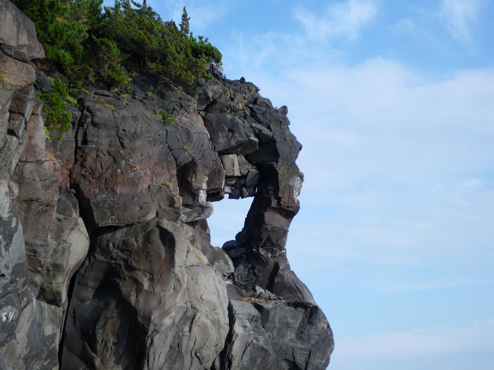 c0210618_0201223.jpg
