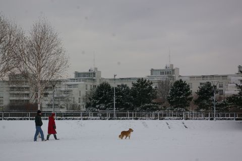 e0114020_7484169.jpg