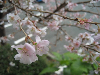 f0139520_0312538.jpg