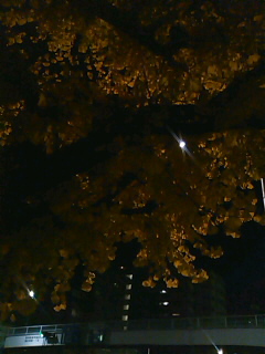 a0056722_12583743.jpg