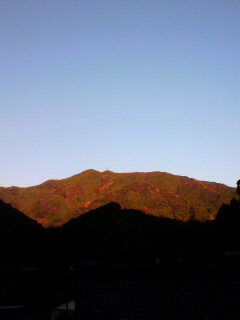 f0036223_1001938.jpg